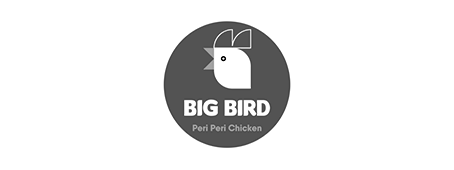 مشروع Big Bird